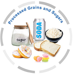 Processed Grains and Sugars