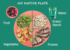 My Native Plate - Fruit, Vegetables, Protein, Grain/Starch, and Water