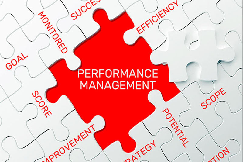 ihs-performance-management-workforce-resources