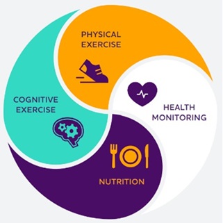 health infographic: cognitive and physical exercise, nutrition and health monitoring