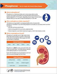 Phosphorus – Tips for People with Chronic Kidney Disease