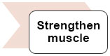 Strengthen muscle