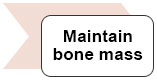 Maintain bone mass