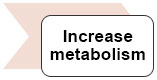 Increase metabolism