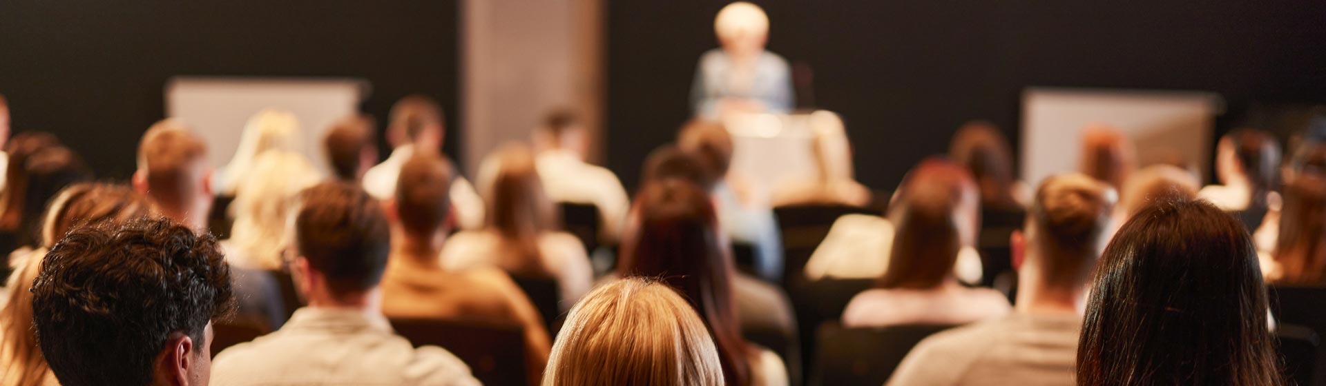 Attendees at a conference